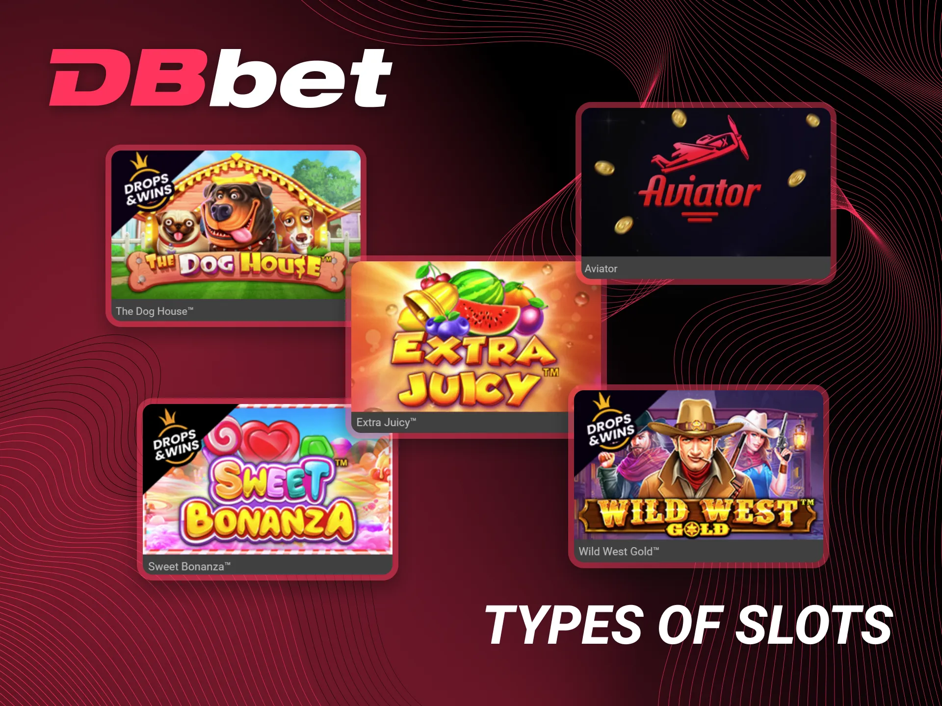 There are a variety of slot games available at DBbet Casino.