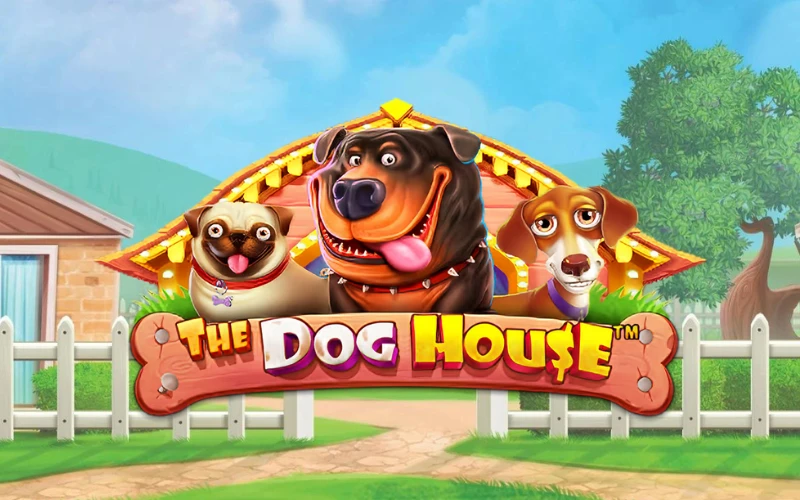Unleash the fun and win big on The Dog House slot at DBbet.